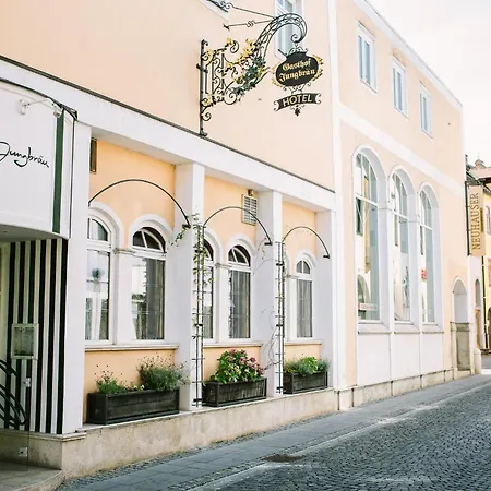 Hotel Jungbraeu Abensberg